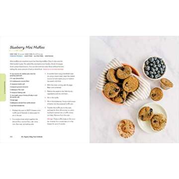 All-Organic Baby Food Cookbook: First Time Parent's Guide to Nutritious Foods for Every Age and Stage