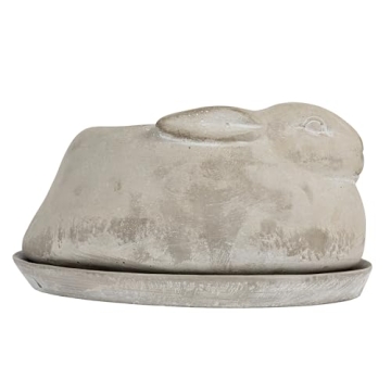 Creative Co-Op Cement Rabbit Planter for Indoor & Outdoor