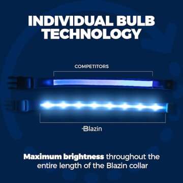 Blazin Brightest Light Up Dog Collars - The Original LED Dog Collar with 1,000 Feet of Visibility - USB Rechargeable Waterproof Dog Collar Light - Dog Lights for Night Walking - USA Brand