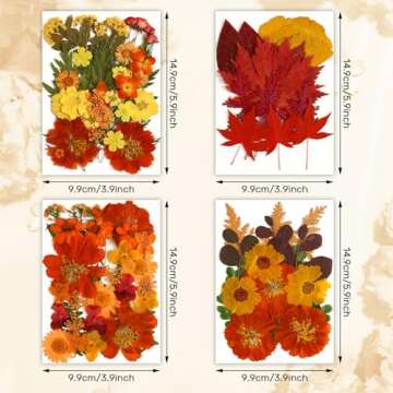Augshy Fall Dried Pressed Flowers – 100 Pcs Natural Floral Collection for Crafts and Home Decor