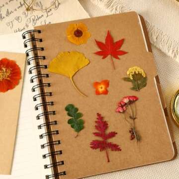 Augshy Fall Dried Pressed Flowers for Art and Crafts