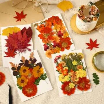 Augshy Fall Dried Pressed Flowers for Art and Crafts