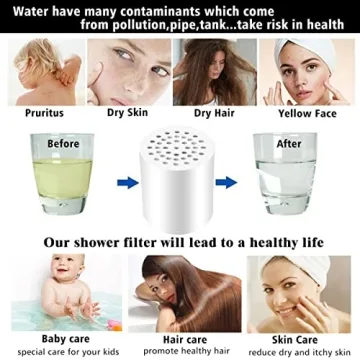 Laicky 20 Stage Shower Filter - Universal Hard Water Purifier