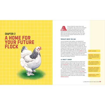 The Essential Beginner's Guide to Raising Chickens in Your Backyard