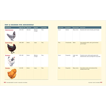 The Essential Beginner's Guide to Raising Chickens in Your Backyard