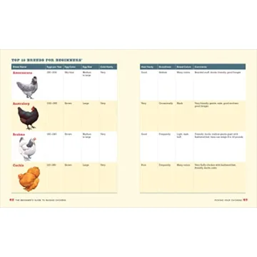 The Essential Beginner's Guide to Raising Chickens in Your Backyard