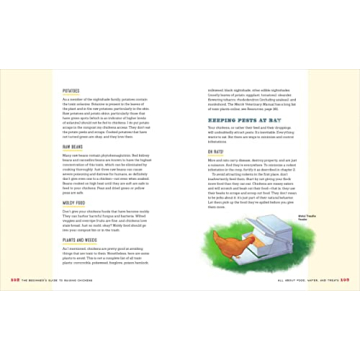 The Essential Beginner's Guide to Raising Chickens in Your Backyard