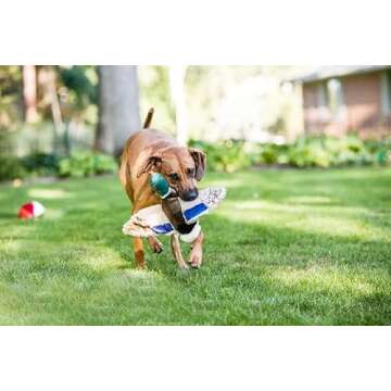 Fluff & Tuff Wally Mallard Pet Toy for Dogs