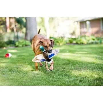 Fluff & Tuff Wally Mallard Pet Toy for Dogs