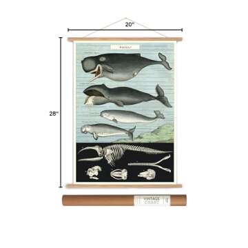 Cavallini Papers Vintage Style Decorative Poster & Hanger Kit 20 x 28, 20" x 28"