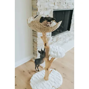 Elegant Wooden Cat Tree for Stylish Homes by MAU Lifestyle
