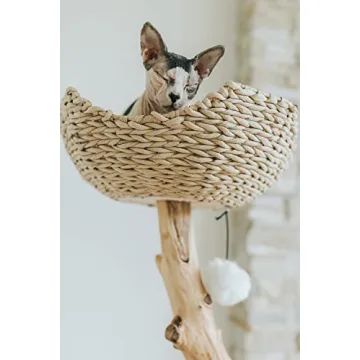 Elegant Wooden Cat Tree for Stylish Homes by MAU Lifestyle