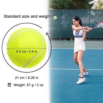 Swity Home 24-Pack Tennis Balls for Training & Pets