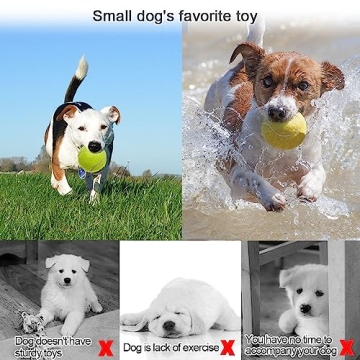 Swity Home 24-Pack Tennis Balls for Training & Pets