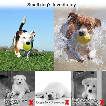 Swity Home 24-Pack Tennis Balls for Training & Pets