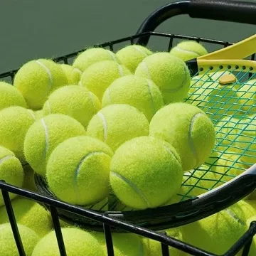 Swity Home 24-Pack Tennis Balls for Training & Pets