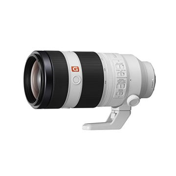 Sony FE 100-400mm G Master Lens for Photographers