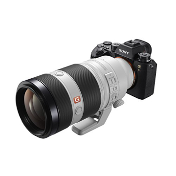 Sony FE 100-400mm G Master Lens for Photographers