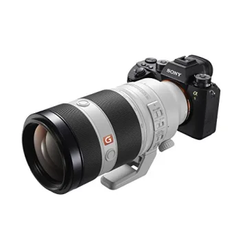 Sony FE 100-400mm G Master Lens for Photographers