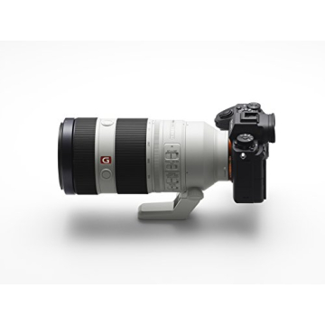Sony FE 100-400mm G Master Lens for Photographers