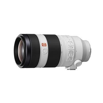 Sony FE 100-400mm G Master Lens for Photographers