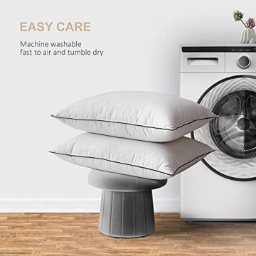 DWR Goose Feather Down Medium Support Pillows for King Beds