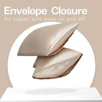 MR&HM Satin Pillowcase for Hair and Skin, Silk Satin Pillowcase 2 Pack, Queen Size Pillow Cases Set of 2, Silky Pillow Cover with Envelope Closure (20x30, Champagne)