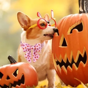 UP URARA Halloween Dog Collar with Adjustable Bow Tie