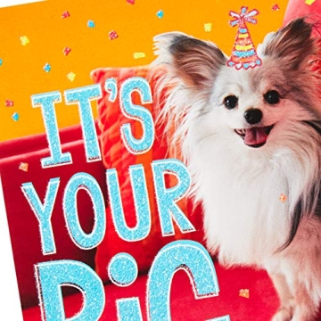 Hallmark Birthday Cards - 20 Assorted with Envelopes