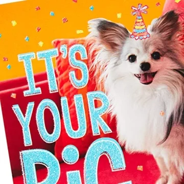 Hallmark Birthday Cards - 20 Assorted with Envelopes