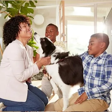 Filtrete 16x20x1 AC Furnace Air Filter, MERV 5, MPR 300, Capture Unwanted Particles, 3-Month Pleated 1-Inch Electrostatic Air Cleaning Filter, 6-Pack (Actual Size15.69x19.69x0.81 in)