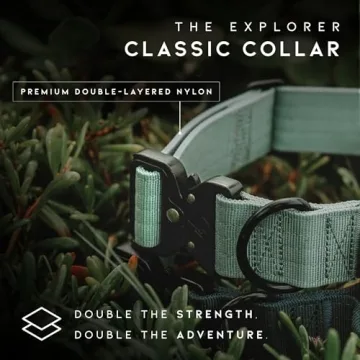 Durable Made to ROAM Dog Collar for All Breeds