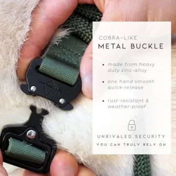 Durable Made to ROAM Dog Collar for All Breeds