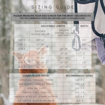 Durable Made to ROAM Dog Collar for All Breeds