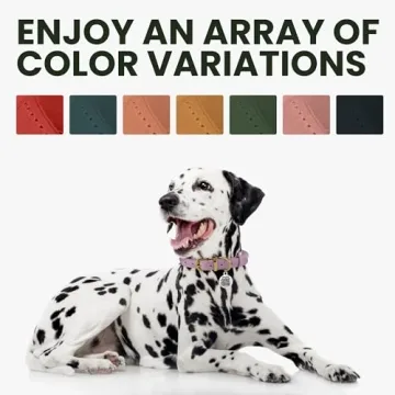 Adjustable BRONZEDOG Rolled Leather Dog Collar for Pets