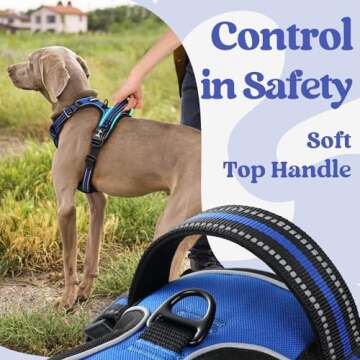 rabbitgoo Dog Harness Medium Sized, No Pull Pet Harness with 3 Buckles, Adjustable Soft Padded Pooch Vest with Instant Control Handle, Easy Walking Reflective Pet Vest for Medium Dogs, Blue, M