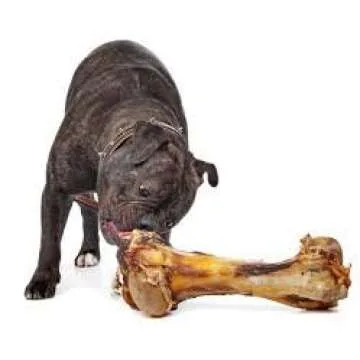 EcoKind Dog Bone Giant Femur Bone for Dogs | 1 Bone | Long Lasting Mammoth Dog Bones for Aggressive Chewers, Rawhide Free Healthy Dog Treat, Large Bones, Digestible Dog Chews & USDA Certified