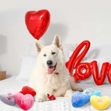 Squeaky Plush Candy Heart Dog Toys - 6 Pack Valentine Gift