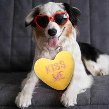 Squeaky Plush Candy Heart Dog Toys - 6 Pack Valentine Gift