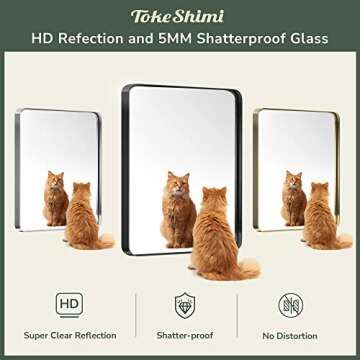 TokeShimi 72x36 Inch Gold Vanity Mirror in Durable Frame