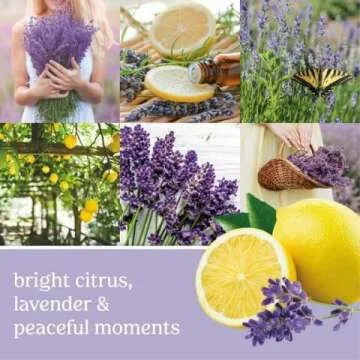 Lemon Lavender Scented Candle - 22oz Classic Jar