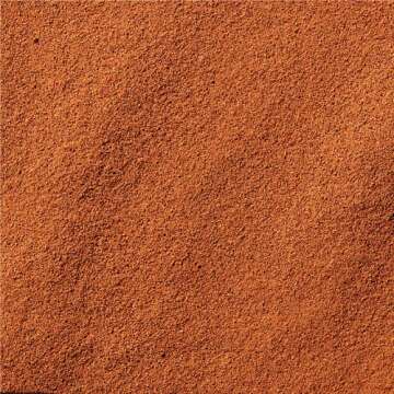 McCormick Ground Cinnamon, 18 oz (Pack - 1)