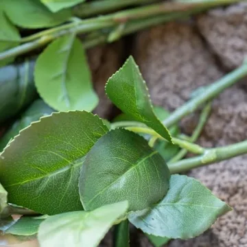 DUYONE Real Touch Fake Flowers for Home Decor