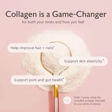 Alaya Multi Collagen Powder - Type I, II, III, V, X Hydrolyzed Collagen Peptides Protein Powder Supplement with MSM + GC (Unflavored) (40 Servings)
