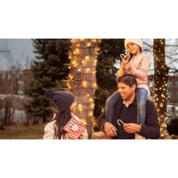 YumEarth Organic Blue Raspberry Candy Canes - 10 Count