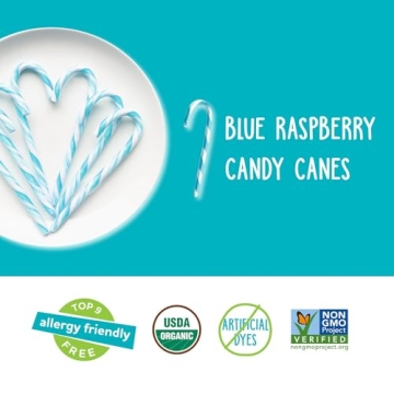 YumEarth Organic Blue Raspberry Candy Canes - 10 Count