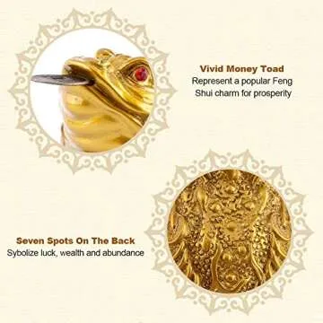 Feng Shui Money Frog – Attract Wealth & Good Luck