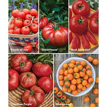 Burpee Best 10 Non-GMO Planting Tomato Seeds for Garden Gifts (1 Pack)