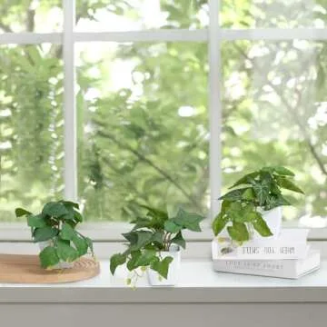 COCOBOO 3 Packs Fake Plants, Small Artificial Plants with White Pots, Fake Potted Plants for Office Home Shelf Decor Indoor Outdoor