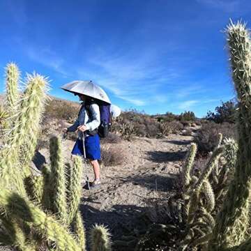 Sleek Carbon Travel Umbrella - Stylish & Durable